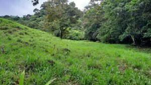 5878 River And Mountain View Property 03