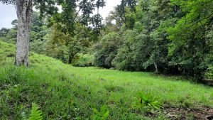 5878 River And Mountain View Property 04