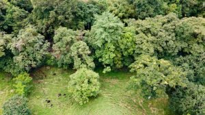 5878 River And Mountain View Property 05