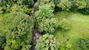 5878 River And Mountain View Property 06