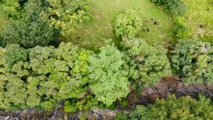 5878 River And Mountain View Property 07