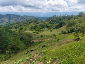 718b92eb-c5d3-48de-823e-216b59cbc1f1