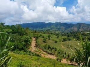 7d6e9a24-4272-49cd-bea6-4e09f1feb33b