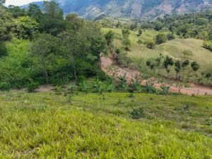 915f3747-3361-462e-8c5d-d02312bd85de