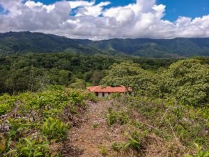9523 Lot 15 Chontales Vientos Del Sur 01