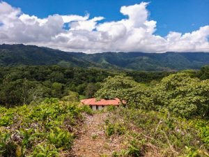 9523 Lot 15 Chontales Vientos Del Sur 02