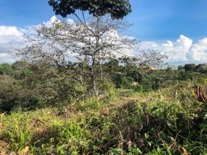 9523 Lot 15 Chontales Vientos Del Sur 04