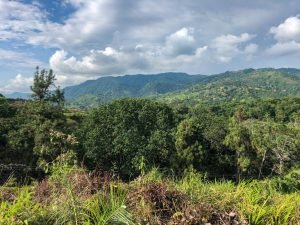 9523 Lot 15 Chontales Vientos Del Sur 06