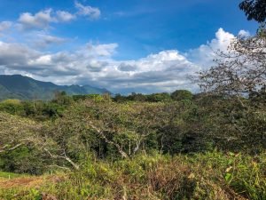 9523 Lot 15 Chontales Vientos Del Sur 11