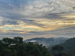 PHOTO-2023-06-28-10-53-43-2