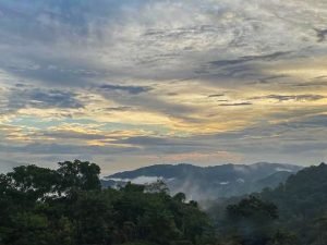 PHOTO-2023-06-28-10-53-43