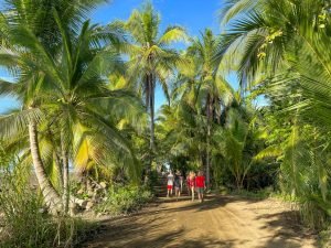 people walking by palm trees. 