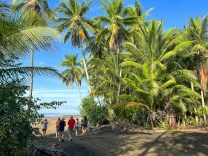 people walking by palm trees.