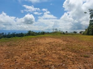 c684a2f2-2bec-40dc-a677-27b7857c83ef