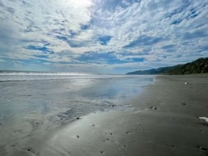 carate-rainforest-estate-10