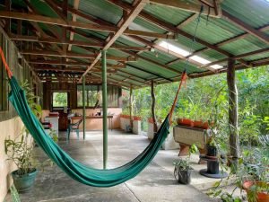 carate-rainforest-estate-11