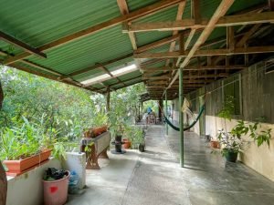 carate-rainforest-estate-12