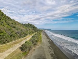 carate-rainforest-estate-14