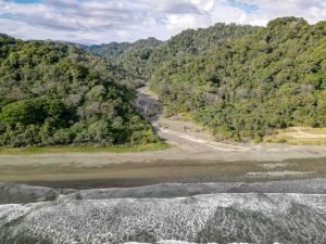 carate-rainforest-estate-15