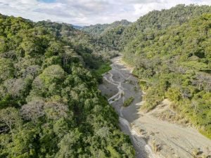 carate-rainforest-estate-16