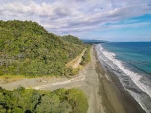 carate-rainforest-estate-17