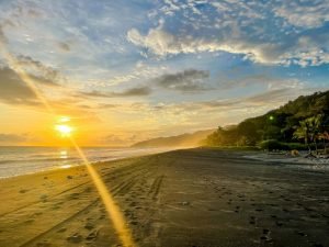 carate-rainforest-estate-18