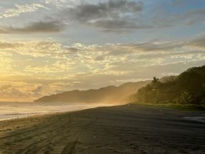 carate-rainforest-estate-19