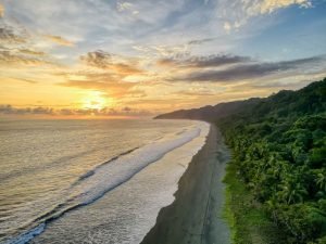 carate-rainforest-estate-20