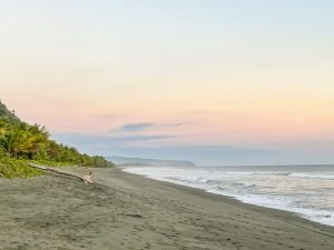 carate-rainforest-estate-23