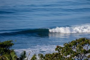 carate-rainforest-estate-24