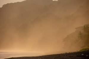 carate-rainforest-estate-3