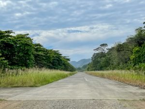 carate-rainforest-estate-5