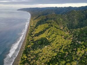 carate-rainforest-estate-51