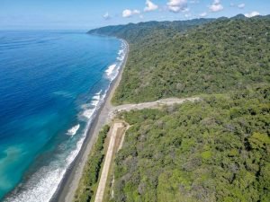 carate-rainforest-estate-53