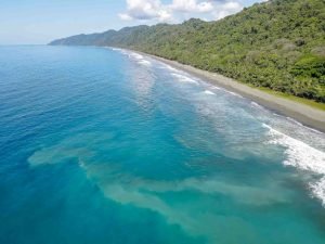 carate-rainforest-estate-55