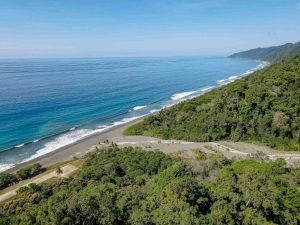 carate-rainforest-estate-56