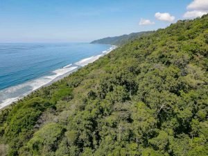 carate-rainforest-estate-57