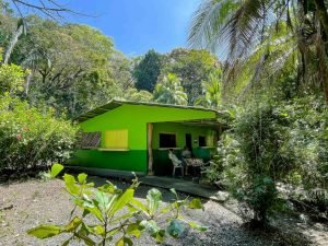 carate-rainforest-estate-59