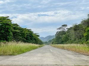 carate-rainforest-estate-6