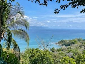 carate-rainforest-estate-65