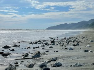 carate-rainforest-estate-9