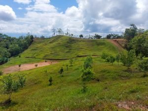 dfa4c62b-cde0-43a4-84e8-992fc93baff8