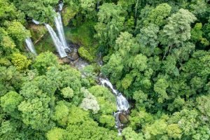 diamante-waterfall-farm-5