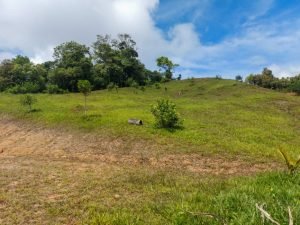 f394ce93-ccd6-44cf-9a77-a2fb48d4f1f1