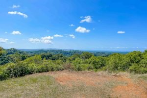 finca-palo-grande-manuel-antonio-13