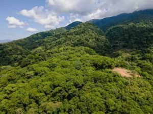 finca-palo-grande-manuel-antonio-18