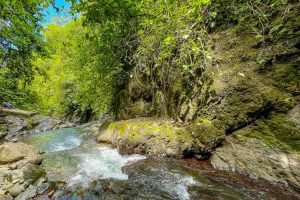 finca-palo-grande-manuel-antonio-23