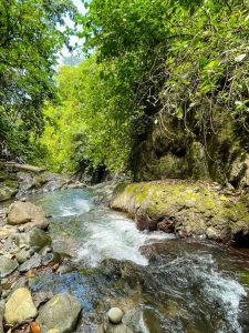 finca-palo-grande-manuel-antonio-24