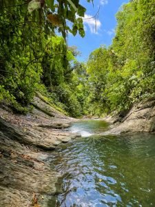 finca-palo-grande-manuel-antonio-26