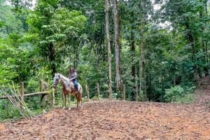 finca-palo-grande-manuel-antonio-28